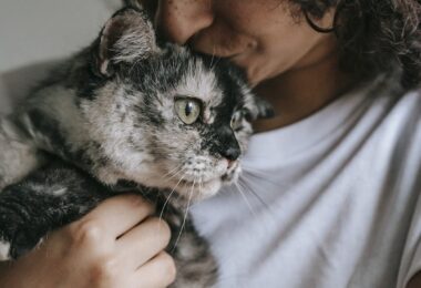 Crop young female with freckles and long curly hair caressing and kissing cute fluffy cat