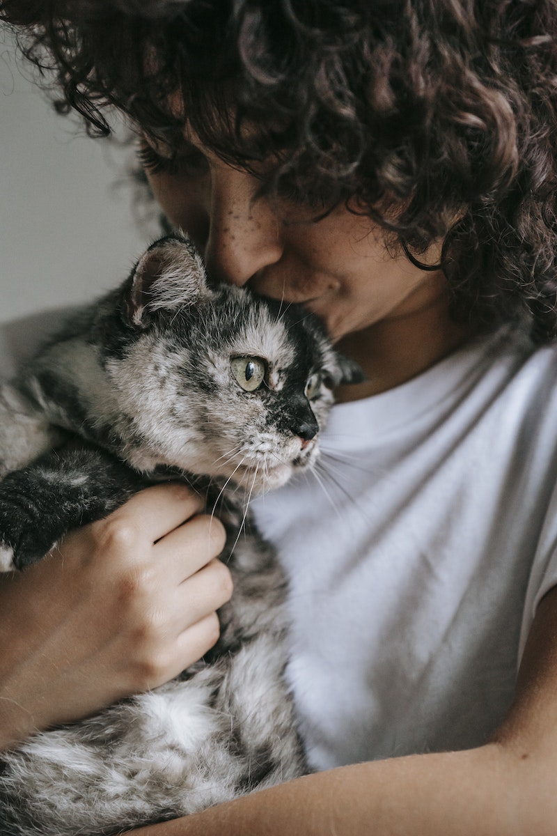 Crop young female with freckles and long curly hair caressing and kissing cute fluffy cat