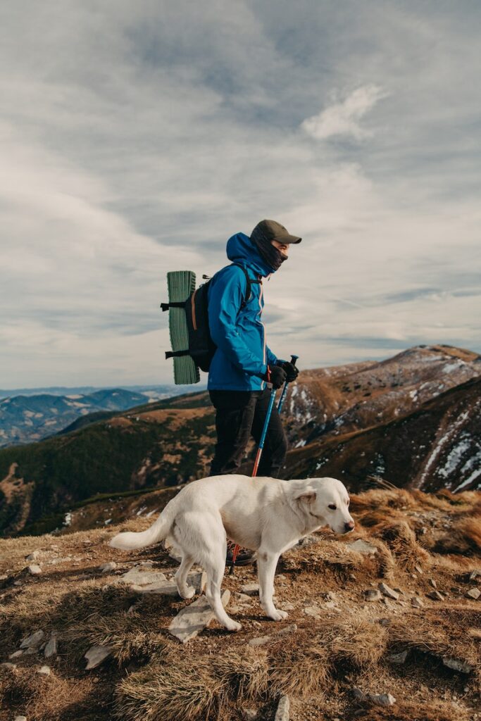 Side view of unrecognizable young male backpacker in warm clothes ascending on rough rocky mountain with trekking poles during hiking trip with adorable Labrador Retriever dog